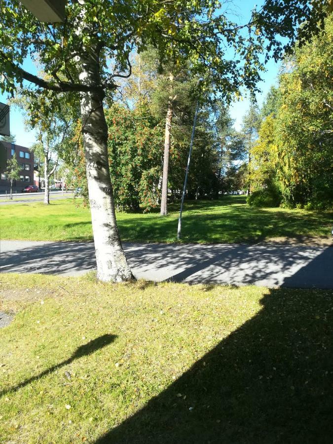 Arctic Home Rovaniemi Bagian luar foto