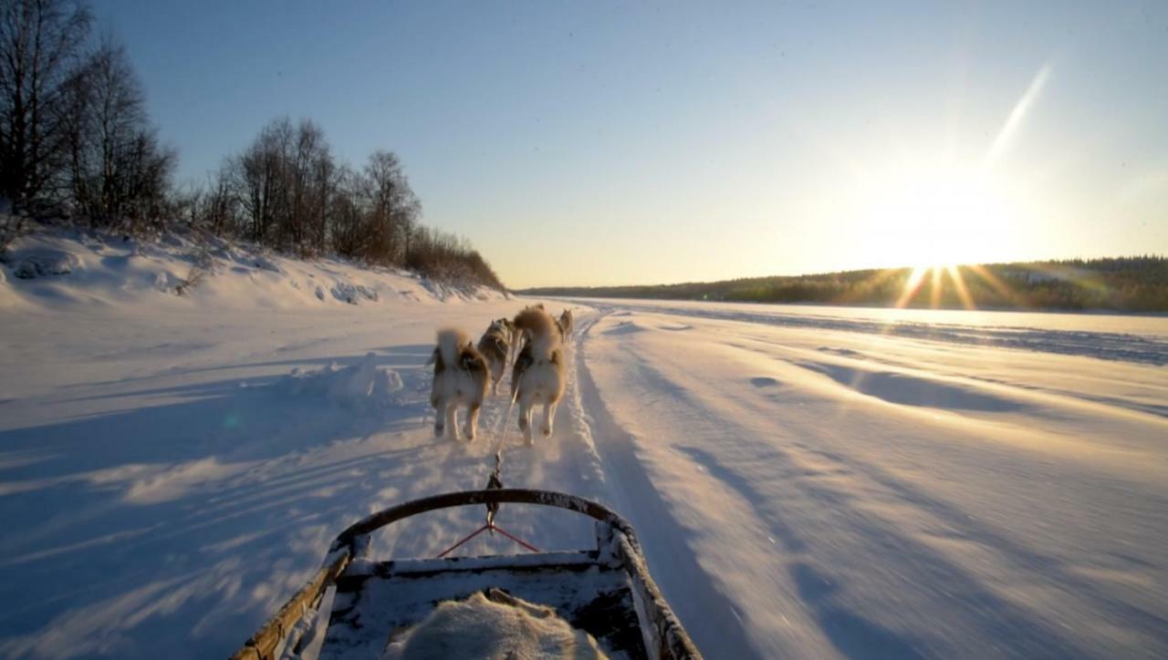 Arctic Home Rovaniemi Bagian luar foto